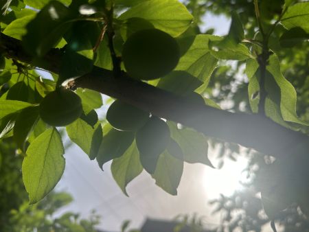 微信图片_20250616162014 微信图片_20250616162014