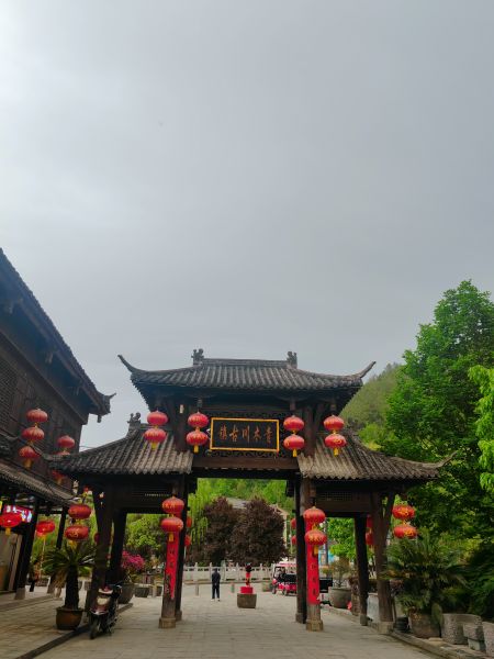 图5 图5