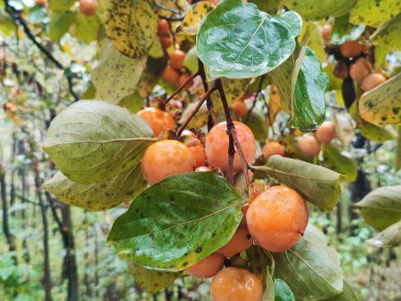 图片3 图片3
