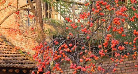 35acf1392d1547ae7ef8bfe4c7bba562